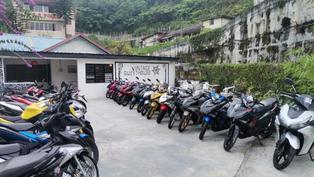Vintage Guesthouse 丹那拉打 外观 照片